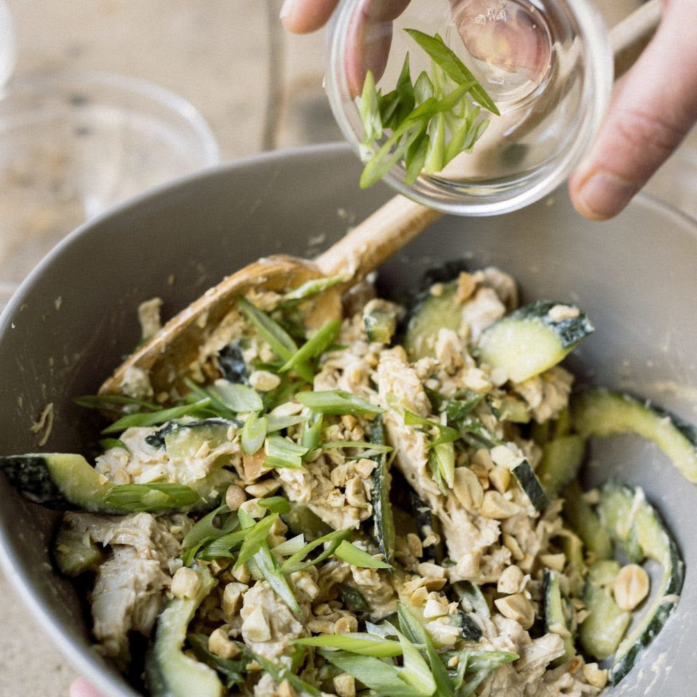 Sichuan Chicken Salad &ndash; 50Hertz Tingly Foods