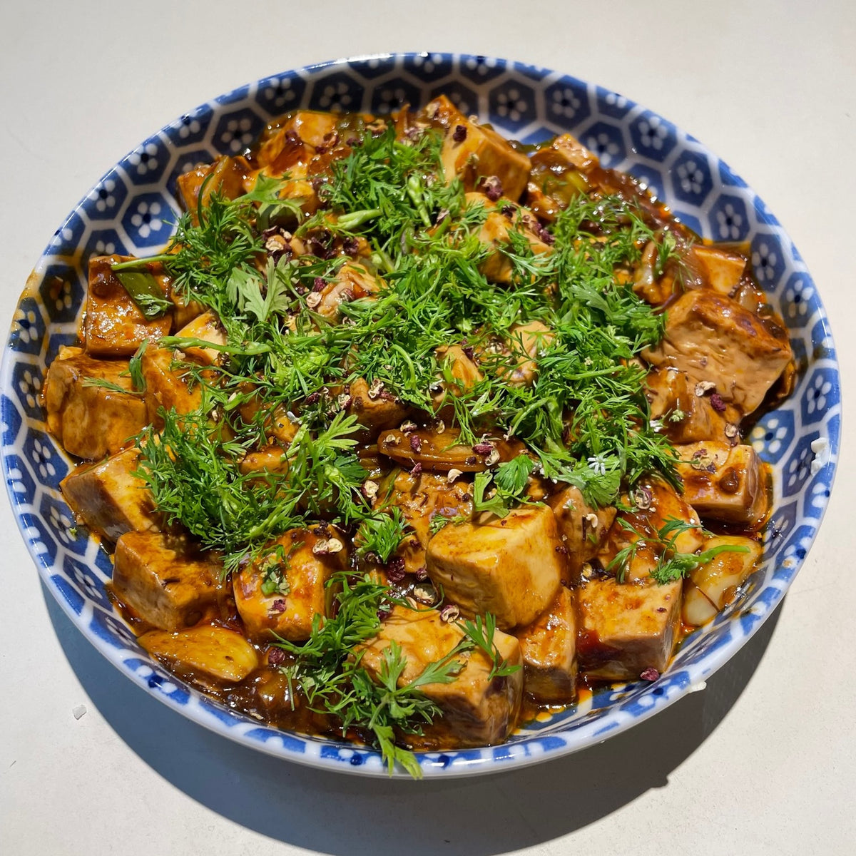 Laoangmoh’s Yuxiang Tofu (鱼香豆腐) 50Hertz Tingly Foods