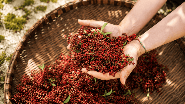 Dried Sichuan Peppers