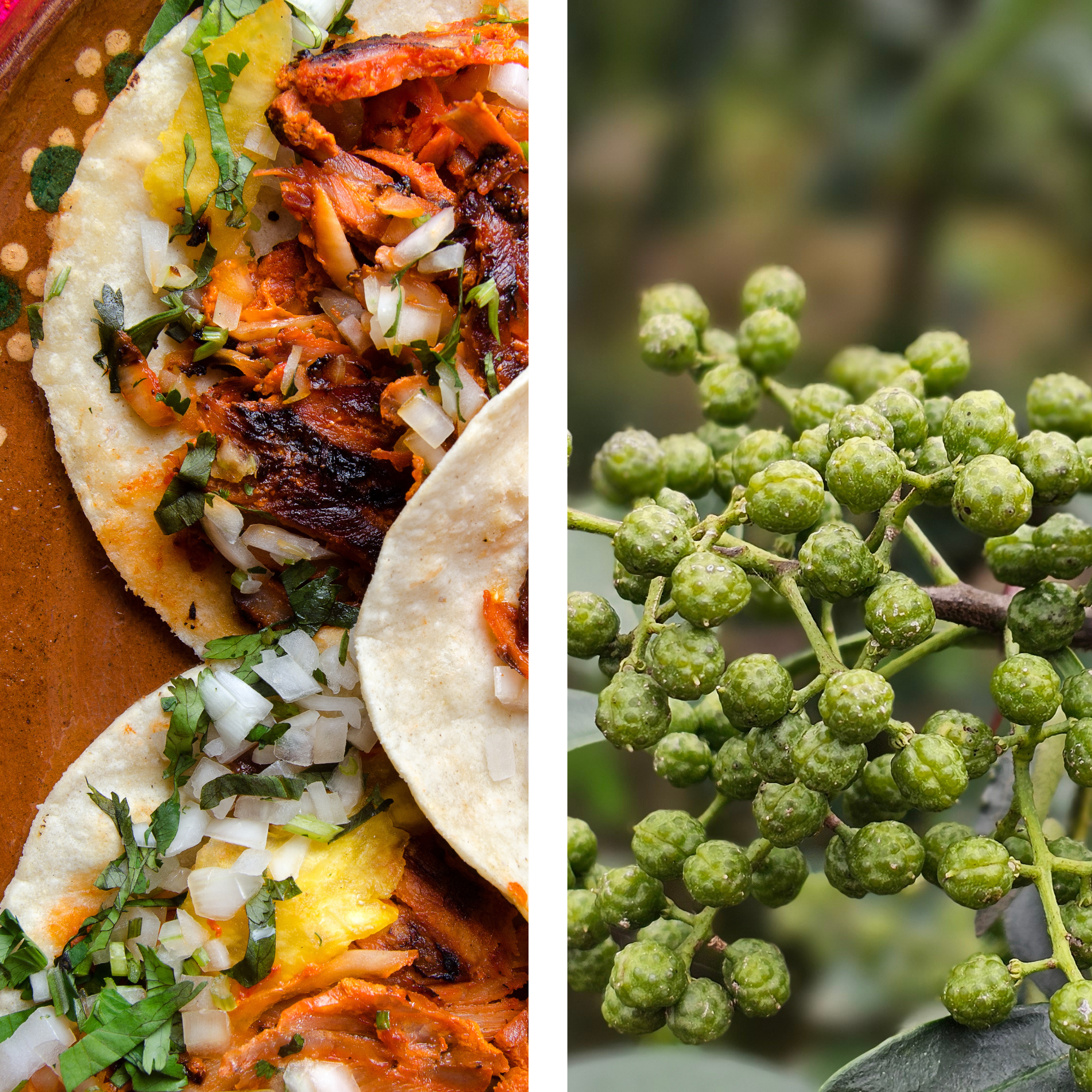 Tacos, Tortillas, and Tingle: Sichuan Pepper Meets Mexican Cuisine ...