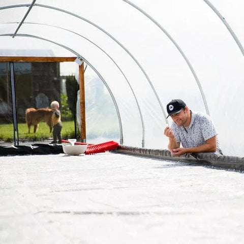 50Hertz Tingly Foods The Tingly Blend