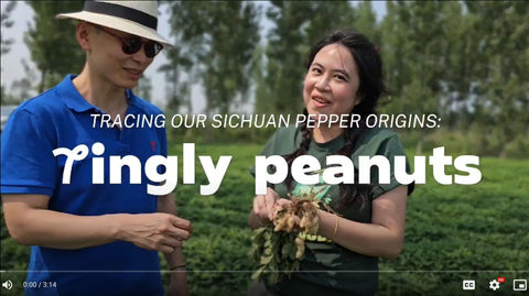 JOIN US AS WE WALK YOU THROUGH OUR PEANUT FIELDS